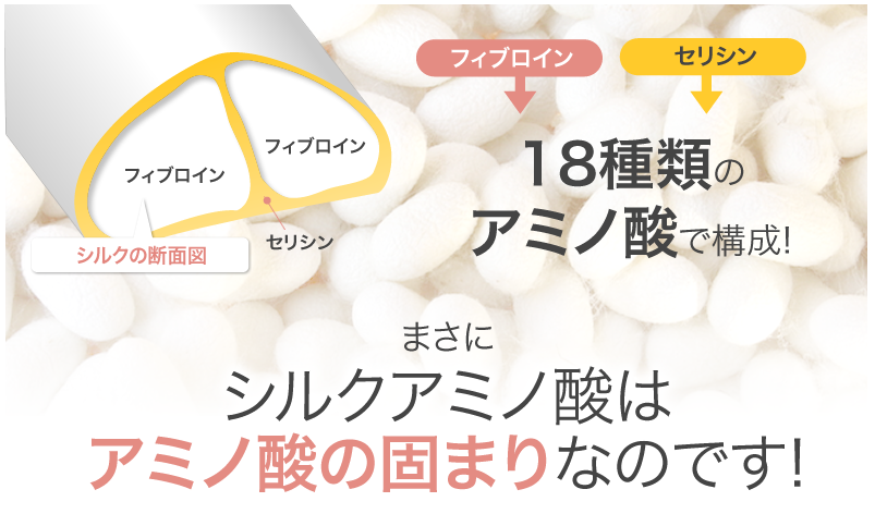 シルクアミノ酸は18種類のアミノ酸で構成！まさにシルクアミノ酸はアミノ酸の固まりなのです！